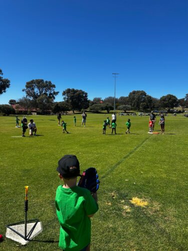 WhatsApp Image 2025-11-08 at 20.53.43_89a551bf